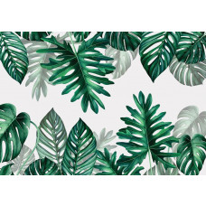 Botanische Blätter Fototapete mit tropischen Blättern in einer Dschungelumgebung, ideal für eine natürliche Atmosphäre.