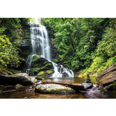 Fototapete eines bezaubernden Wasserfalls, der durch einen Wald fließt, umgeben von dichten Bäumen und Natur.