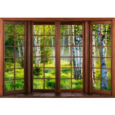 Fototapete mit 3D-Fensterblick auf einen Birkenwald, mit hohen Bäumen und einer ruhigen Atmosphäre.