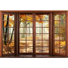 Fototapete mit einer 3D-Fensteransicht eines Herbstwaldes, mit warmen Herbstfarben.