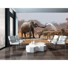 Eine Fototapete mit afrikanischen Tieren wie Elefanten und Zebras, ideal für ein Wohnzimmer.
