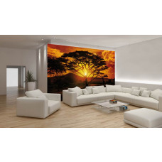 Eine Fototapete eines afrikanischen Sonnenuntergangs mit Wildtieren und einem heiteren Blick.