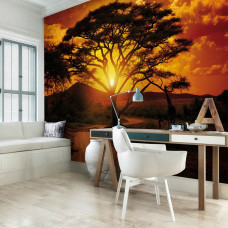 Eine Fototapete einer afrikanischen Landschaft mit Tieren bei Sonnenuntergang in einem Büro.