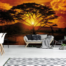 Eine Fototapete eines afrikanischen Sonnenuntergangs mit Silhouetten von Tieren in einem Wohnzimmer.