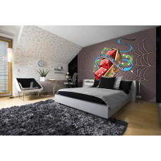 Eine Fototapete mit Graffiti und silbernen Würfeln im alchemistischen Stil für das Schlafzimmer.