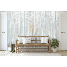 Eine Fototapete von weißen Bäumen im Espenwald, eine natürliche Waldumgebung im Wohnzimmer gesehen.