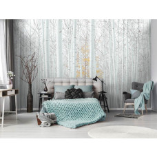 Eine Fototapete von weißen Bäumen im Espenwald, eine natürliche Waldumgebung im Schlafzimmer gesehen.