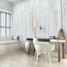 Eine Fototapete von weißen Bäumen im Espenwald, eine natürliche Waldumgebung im Wohnzimmer gesehen.