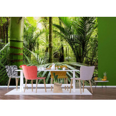 Fototapete Abenteuer Dschungelpflanzen im tropischen Klima im Esszimmer.