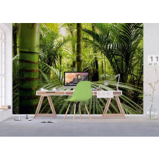 Fototapete Abenteuer Dschungelpflanzen im tropischen Klima im Büro.