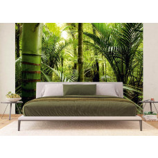 Fototapete Abenteuer Dschungelpflanzen im tropischen Klima im Schlafzimmer.