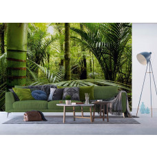 Fototapete Abenteuer Dschungelpflanzen im tropischen Klima im Wohnzimmer.
