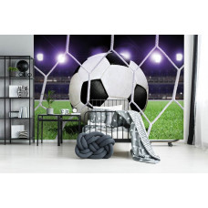 Eine Fototapete mit einem Fußball, der im Tor landet, angezeigt auf einem Stadion-Rasenfeld.