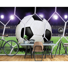 Eine Fototapete mit einem Tor in einem Stadion mit grünem Gras, ideal für ein Büro oder Kinderzimmer.