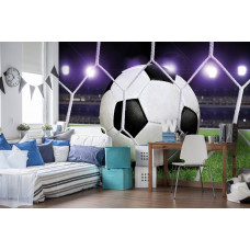 Eine Fototapete mit einem Fußball im Tor, umgeben vom Stadion und Rasenfeld, geeignet für ein Kinderzimmer.