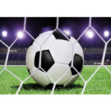 Fußball im Tor auf einem Stadion-Rasenfeld, schöne Fototapete für Kinder.