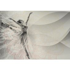 Fotobehang met abstracte ballerina in grijze mandala-stijl