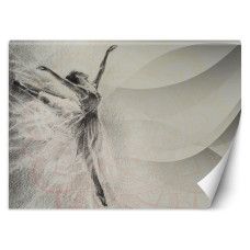 Fotobehang met abstracte ballerina in grijze mandala-stijl