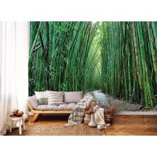 Fototapete mit Bambus-Dschungel-Weg für das Wohnzimmer.