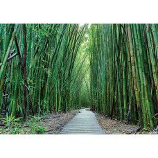 Panther-Druck auf Fototapete, detailliertes und stilvolles Tiermotiv.