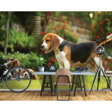 Fototapete mit Beagle-Welpen in einer professionellen Büroumgebung.