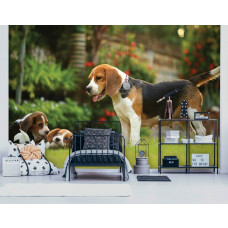 Fototapete mit Beagle-Welpen in einem fröhlichen Kinderzimmer.