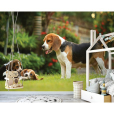 Fototapete mit Beagle-Welpen im Vliestapeten-Stil für ein Kinderzimmer.