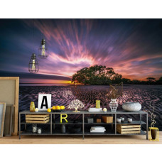 Fototapete von einem Strand mit Ebbe, geeignet für das Büro.