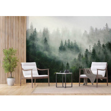 Fototapete Bergwald im Morgennebel in einem Geschäftsraum.