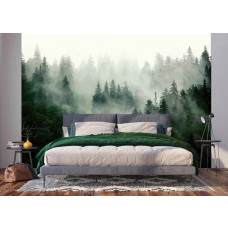 Fototapete Bergwald im Morgennebel in einem Schlafzimmer.