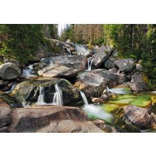 Fotobehang met bergbeek natuurlandschap in groene tinten