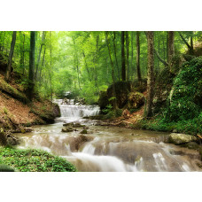 Fotobehang met bergbeek in groen natuurlandschap