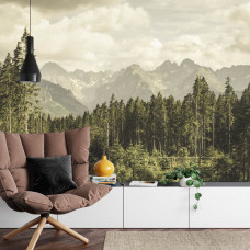 Eine Fototapete mit einem atemberaubenden Bild von weiten Bergtälern und Waldrändern, perfekt für ein Wohnzimmer.