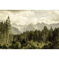 Fototapete von Bergtälern und Waldrändern, mit einer schönen Landschaft von grünen Hügeln und Bergen.
