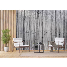 Fototapete mit Birken und Waldspiegelung, ideal für eine gelassene Atmosphäre in Geschäftsräumen.