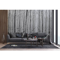 Fototapete mit Birken und Waldspiegelung, die eine beruhigende, organische Atmosphäre im Schlafzimmer erzeugt.