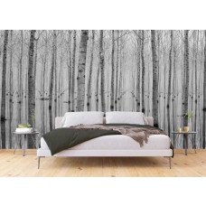 Fototapete mit Birken und Waldspiegelung, ideal für eine beruhigende, natürliche Atmosphäre im Schlafzimmer.