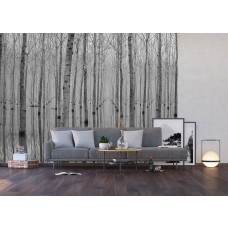 Fototapete mit Birkenwald und Spiegelung, perfekt für eine entspannte, organische Atmosphäre im Geschäftsraum.