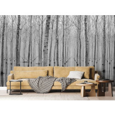 Fototapete mit Birkenbäumen und Waldspiegelung, die dem Wohnzimmer eine ruhige, edle Optik verleiht.