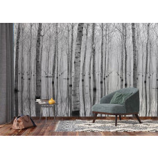 Fototapete mit Birken und Waldspiegelung, die dem Wohnzimmer ein ruhiges und edles Flair verleiht.