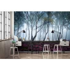 Fototapete eines Birkenwaldes mit Blumen im Nebel, geeignet für das Büro.