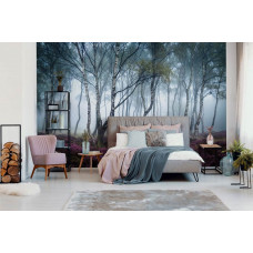 Fototapete eines nebligen Birkenwaldes mit Blumen, geeignet für das Schlafzimmer.