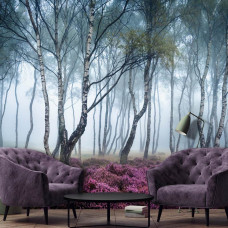 Fototapete eines nebligen Birkenwaldes mit Blumen, perfekt für das Wohnzimmer.