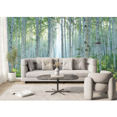Fototapete mit Birkenwald und strahlendem Sonnenlicht in einem Wohnzimmer, wobei die grünen Blätter und weißen Stämme für einen frischen Blickfang sorgen.