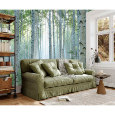 Eine Fototapete mit einem Birkenwald und Sonnenstrahlen in einem stilvollen Wohnzimmer, die dem Interieur Licht und Tiefe verleiht.