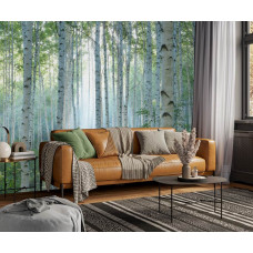Fototapete mit natürlichem Birkenwald und Sonnenstrahlen in einem Wohnzimmer, die dem Interieur Licht und Tiefe verleihen.