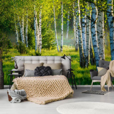 Fototapete Birkenwald Serenade mit natürlichen Bäumen in einem warmen Wohnzimmer.