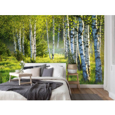 Fototapete Birkenwald Serenade mit natürlichen Bäumen im Vliestapetenstil für ein Schlafzimmer.