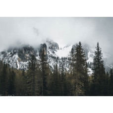 Fototapete von schneebedeckten Bergen, die hoch über dem Wald herausragen, mit einem klarblauen Himmel und einer wunderschönen Naturlandschaft.