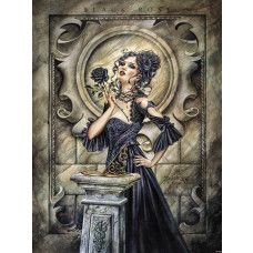 Fototapete mit einer schwarzen Rose mit Alchemie-Thema, geheimnisvoll und dunkel.